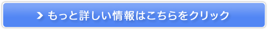 LxȕiWRVbvSurehobby̔TCg